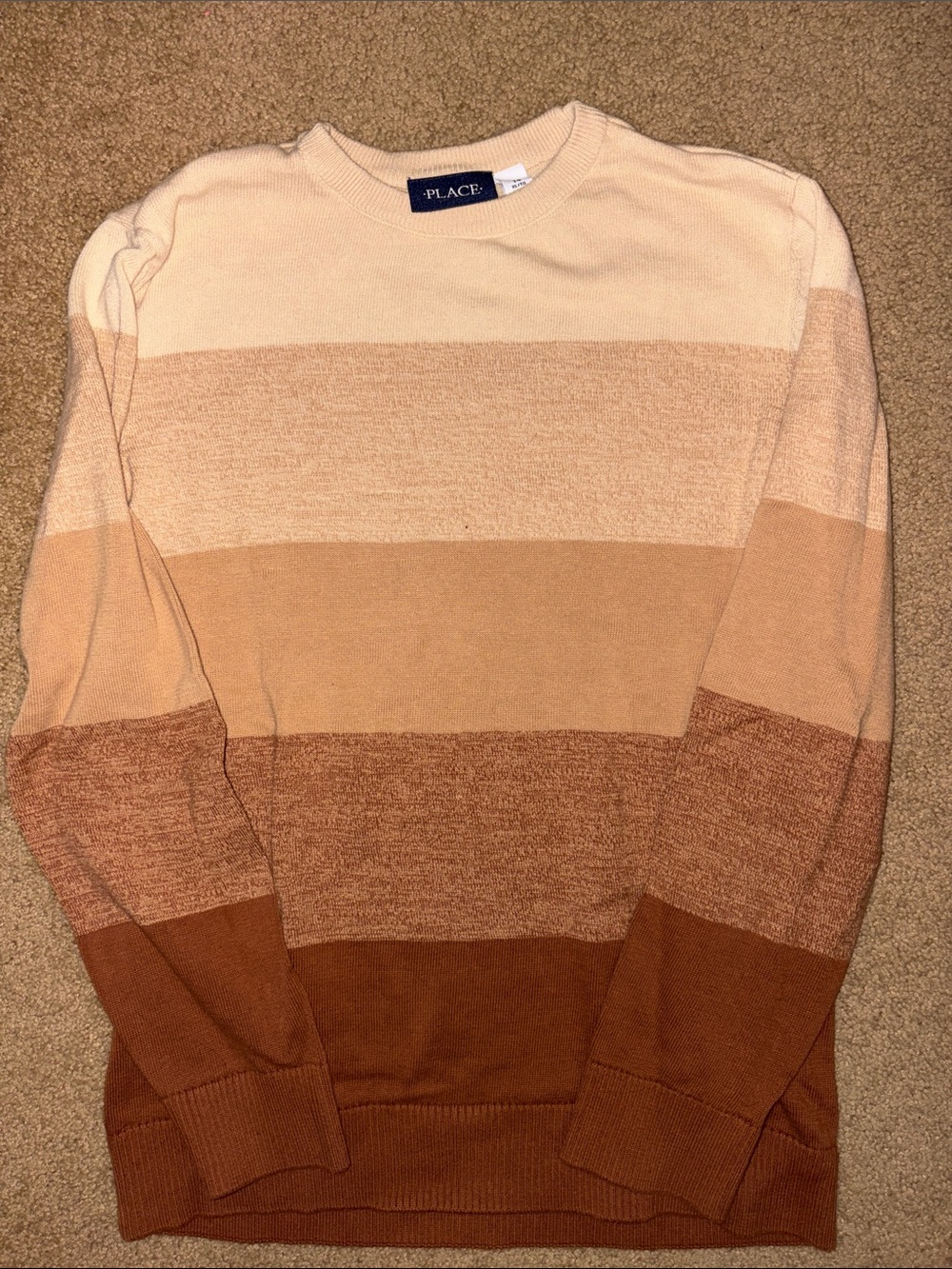 The Children's Place Men's Crewneck Sweater in Cream, Tan & Brown